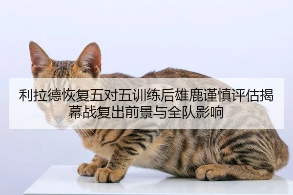利拉德恢复五对五训练后雄鹿谨慎评估揭幕战复出前景与全队影响